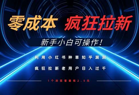 利用小红书种草知乎漏洞，零成本疯狂拉新日入数张，新手小白可操作-问小徐资源库