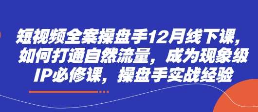 短视频全案操盘手12月线下课，如何打通自然流量，成为现象级IP必修课，操盘手实战经验-1号库创业圈