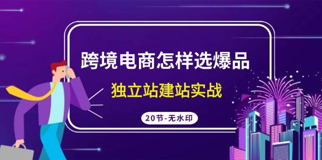 （9369期）跨境电商怎样选爆品，独立站建站实战（20节高清无水印课）-1号库创业圈
