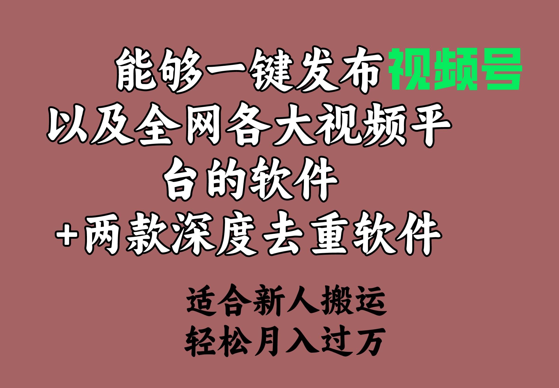 （9319期）能够一键发布视频号以及全网各大视频平台的软件+两款深度去重软件 适合...-1号库创业圈