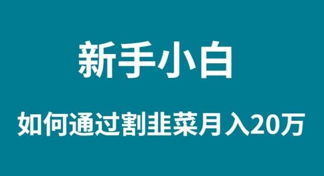 （9308期）新手小白如何通过割韭菜月入 20W-1号库创业圈