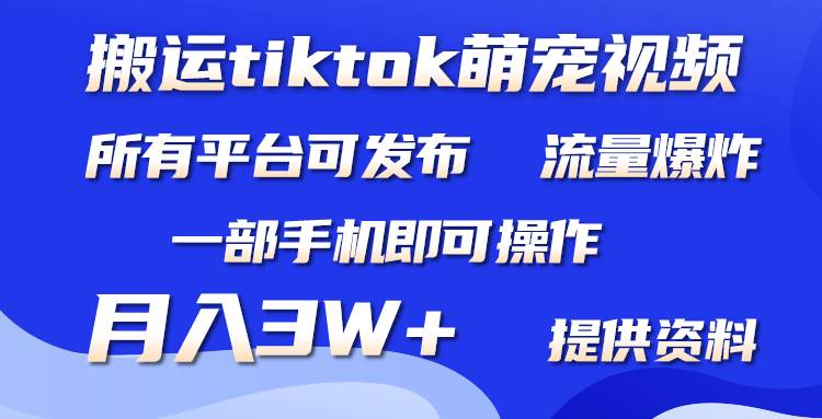 （9618期）搬运Tiktok萌宠类视频，一部手机即可。所有短视频平台均可操作，月入3W+-1号库创业圈