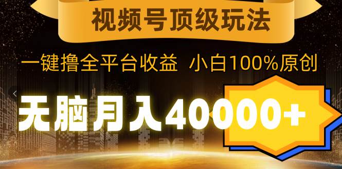 （9281期）视频号顶级玩法，无脑月入40000+，一键撸全平台收益，纯小白也能100%原创-1号库创业圈