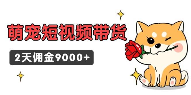 （9273期）东哲日记·萌宠短视频带货，2天佣金9000+-1号库创业圈