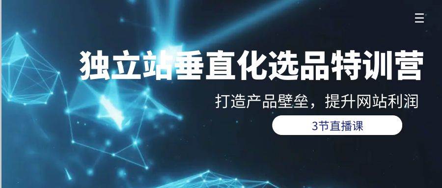 （9925期）独立站-垂直化选品训练营，打造产品壁垒，提升网站利润（3节直播课）-1号库创业圈
