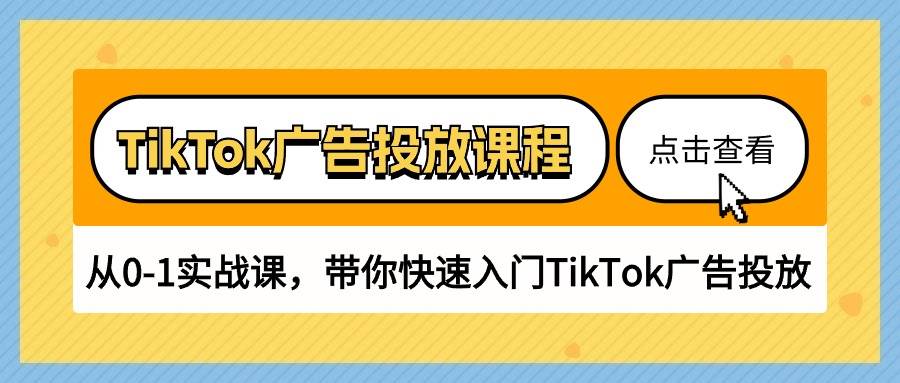 （10731期）TikTok广告投放课程，从0-1实战课，带你快速入门TikTok广告投放（30节课）-1号库创业圈