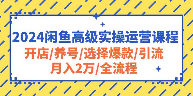 （10711期）2024闲鱼高级实操运营课程：开店/养号/选择爆款/引流/月入2万/全流程-1号库创业圈