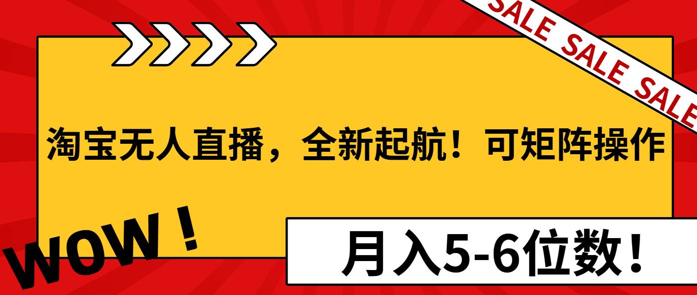 （13946期）淘宝无人直播，全新起航！可矩阵操作，月入5-6位数！-1号库创业圈