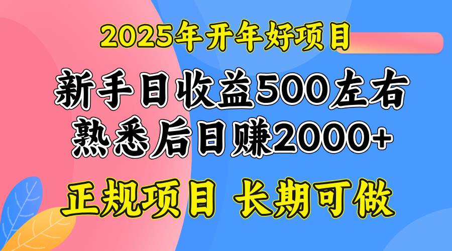（14076期）2025开年好项目，单号日收益2000左右-1号库创业圈