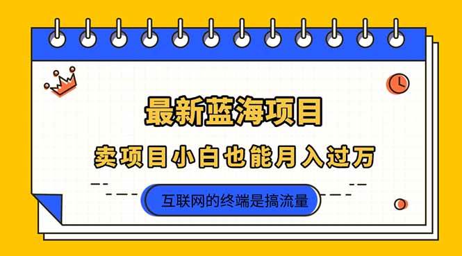 （14289期）2025年最新蓝海项目，卖项目小白也能月入过万-1号库创业圈