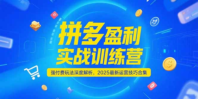 （15183期）拼多多盈利实战训练营，强付费玩法深度解析，2025运营技巧合集-更新6月-1号库创业圈