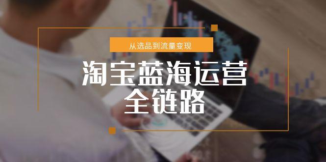 （15160期）淘宝蓝海运营全链路，从选品到流量变现，小类目突围完整方案-1号库创业圈
