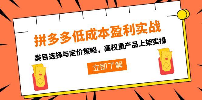 （15143期）拼多多低成本盈利实战，类目选择与定价策略，高权重产品上架实操-1号库创业圈