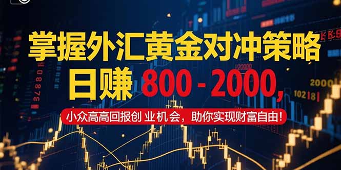 （15198期）掌握外汇黄金对冲策略，日赚 800 - 2000，小众高回报创业机会，助你实...-1号库创业圈