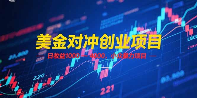 （15187期）美金对冲创业项目，日收益 1000 - 4000，小众暴力项目-1号库创业圈