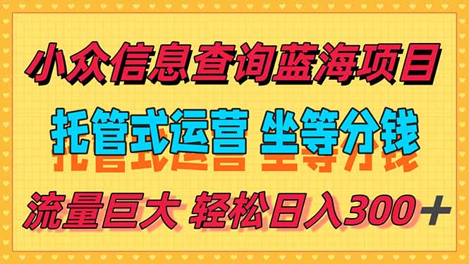 （15216期）稳定日入300＋，小众信息查询蓝海项目，全程懒人式托管，解放你的时间-1号库创业圈