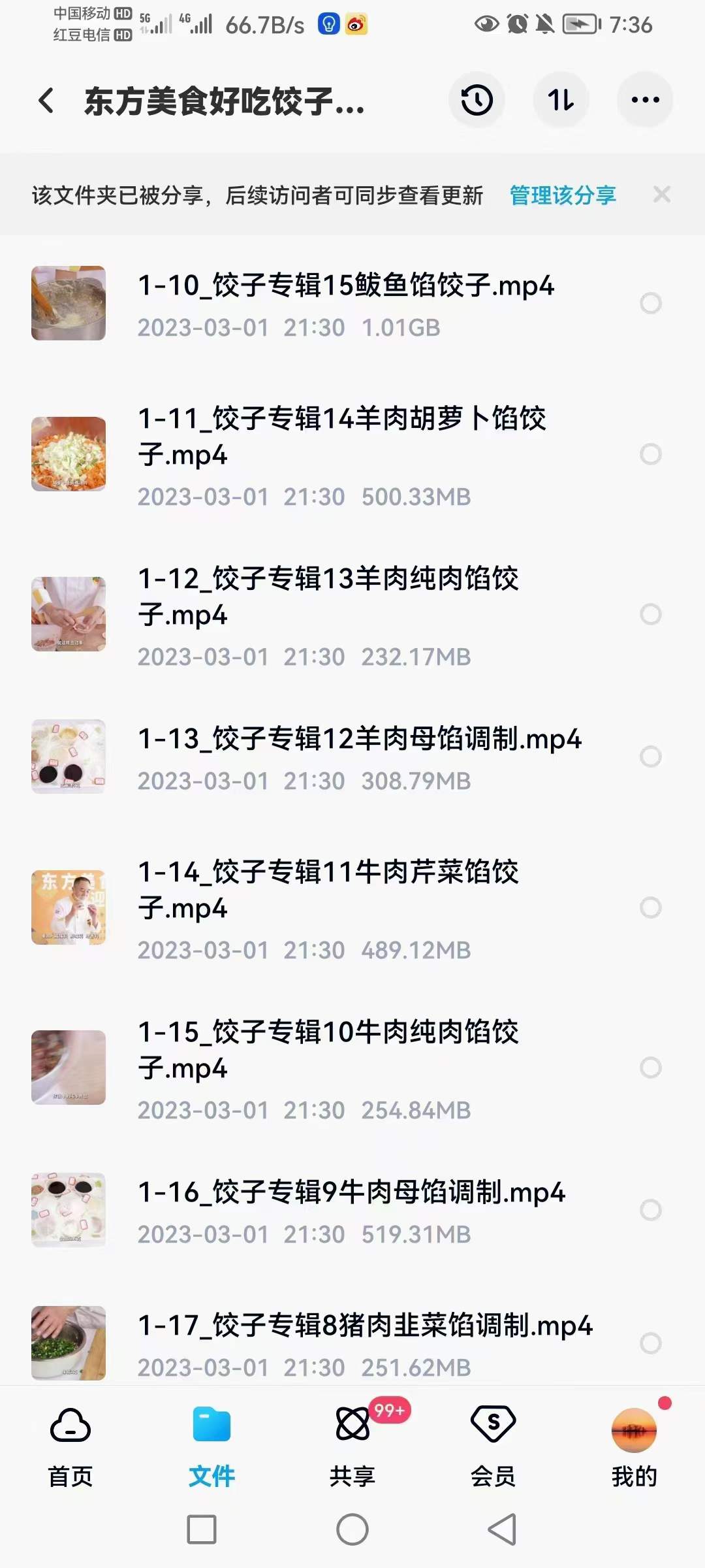 饺子技术配方和面制作全套资料商用饺子皮制作多种口味馅料制作