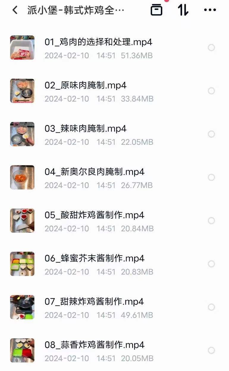 网红韩式炸鸡专业课教程视频全套开店创业摆摊项目小吃技术配方
