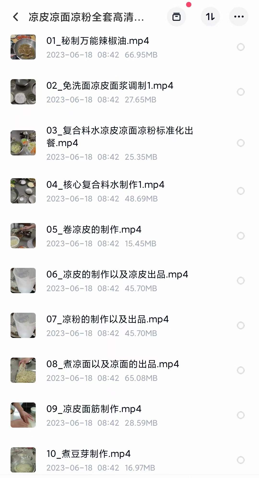 凉皮凉粉凉面制作技术配方高清视频教程零基础摆摊创业特色小吃配方