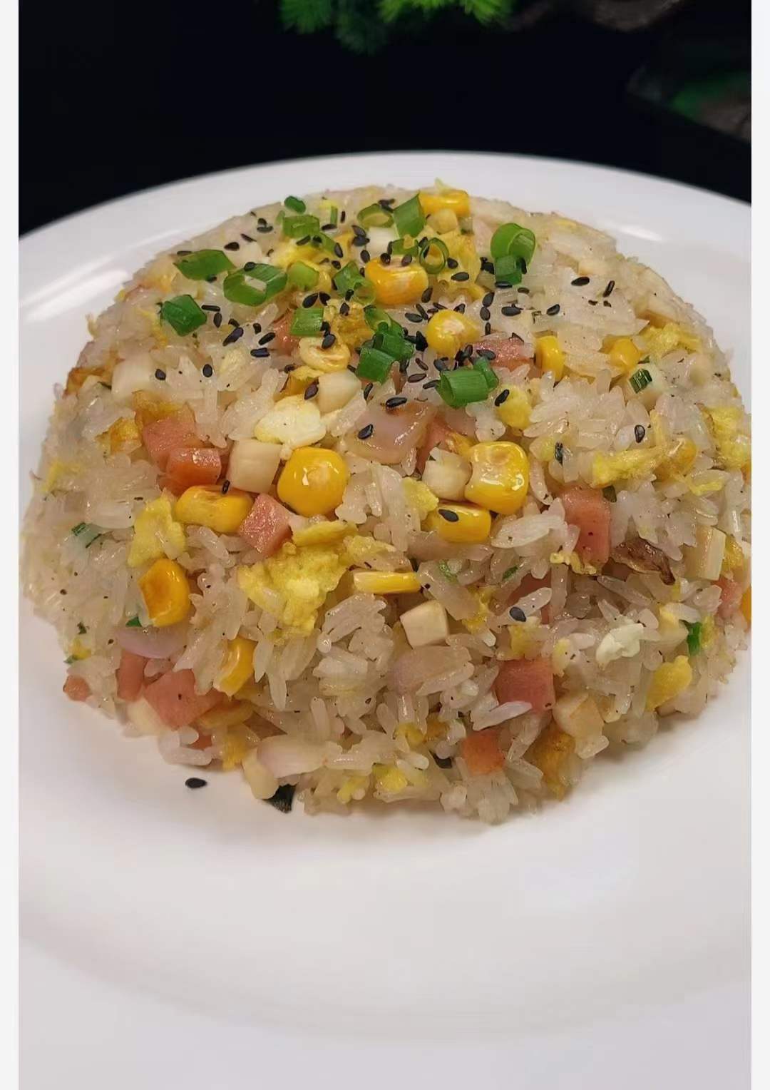 商用的摆摊小吃花式多种酱油黄金什锦炒饭做法制作方法技术教程配方视频