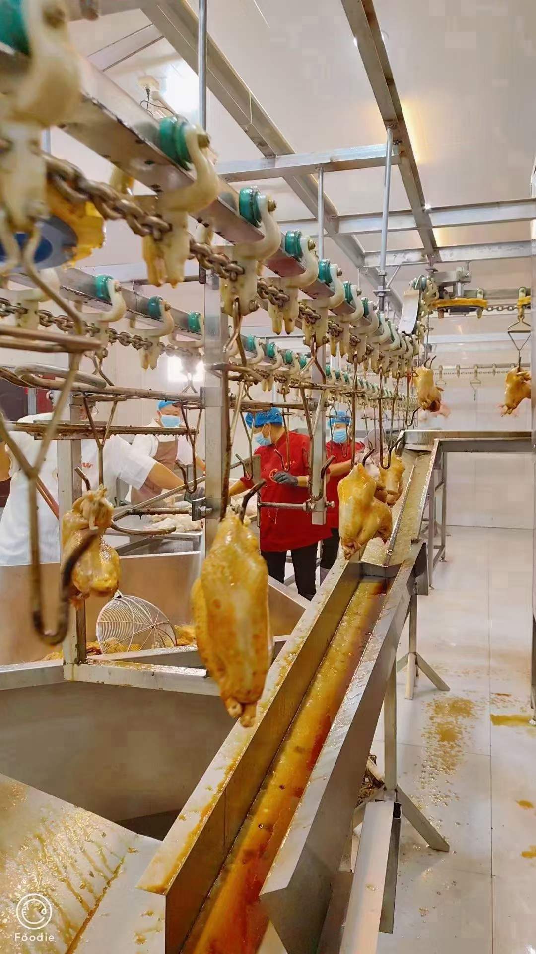 道口烧鸡配方技术教程特色小吃视频教学卤菜商用开店摆摊创业培训