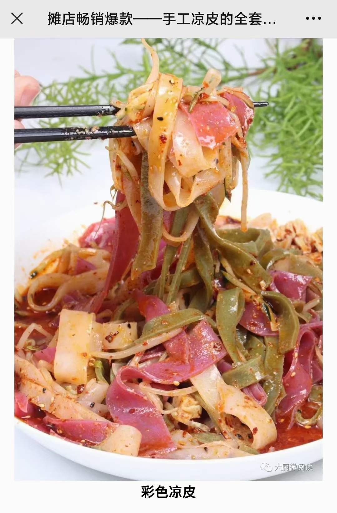 手工果蔬彩色凉皮凉面米皮制作技术配方教程培训视频地摊小吃