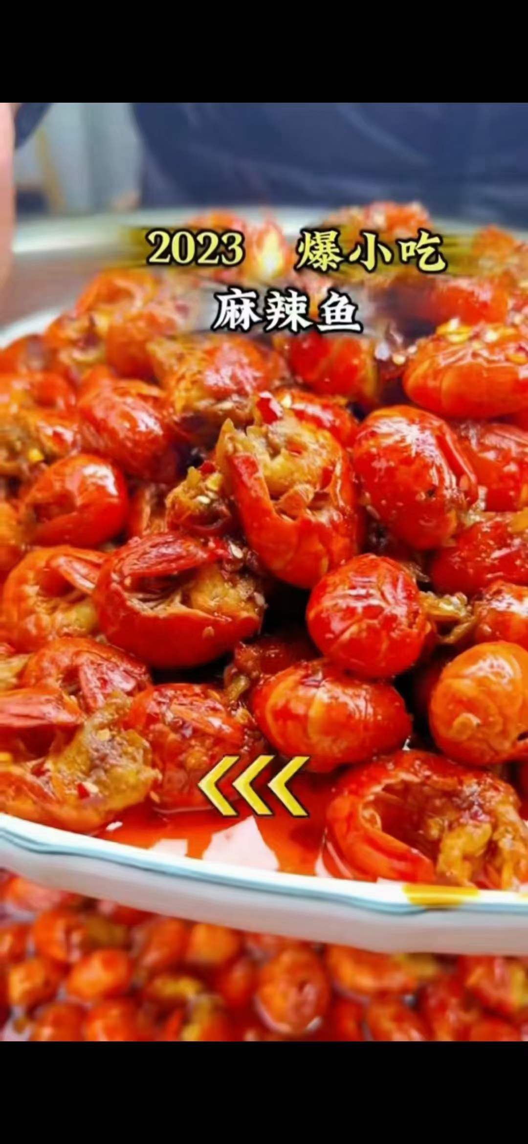 麻辣鱼系列配方技术配方教程小吃技术培训课程的做法商用摆摊视频教学