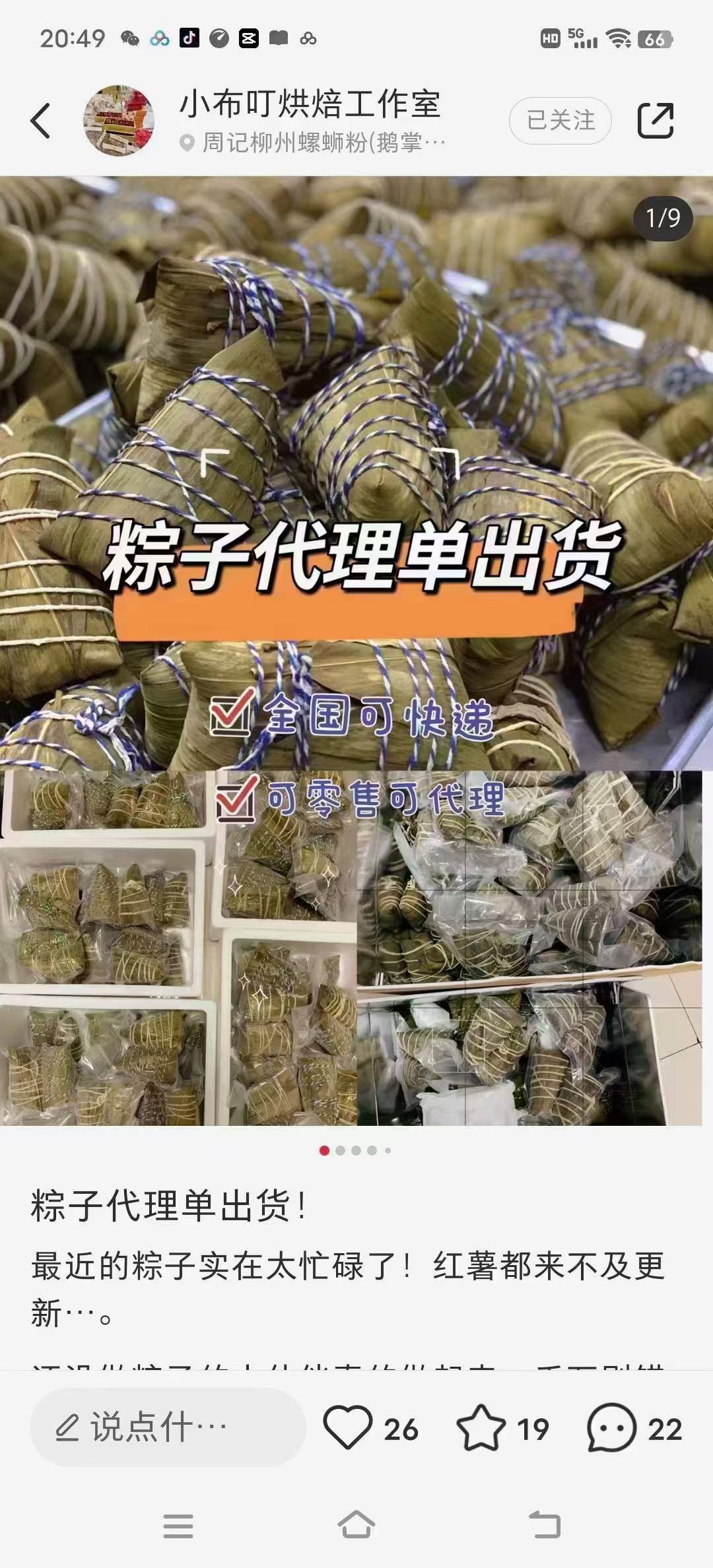9种粽子技术教程视频资料培训肉粽素粽水晶粽咸蛋黄小吃技术配方摆摊商用材料