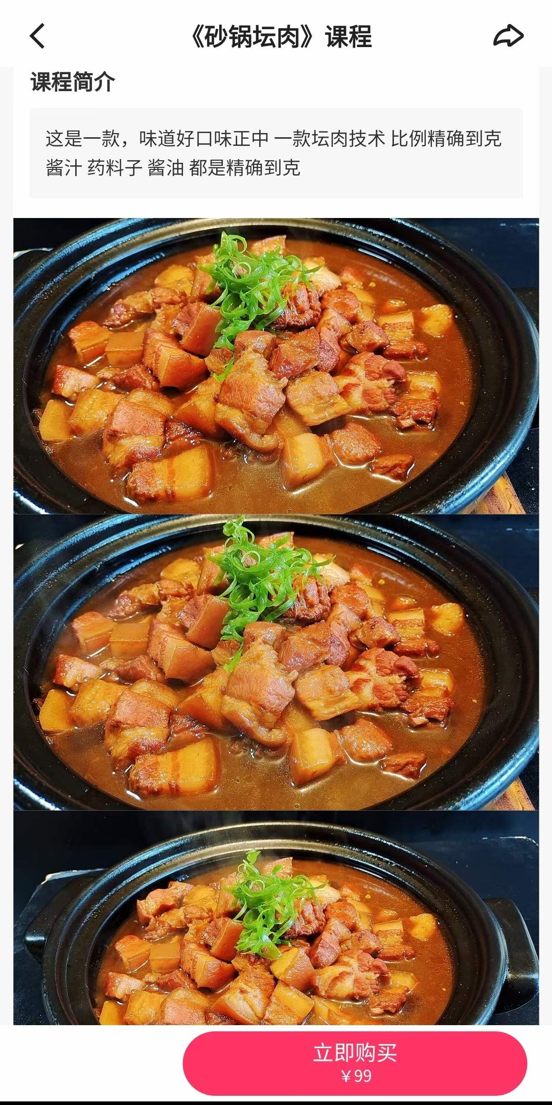 东北砂锅坛肉技术配方做法红烧肉炖肉资料教程培训视频教学资料