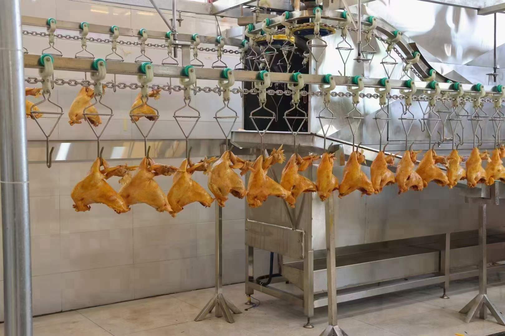 道口烧鸡配方技术教程特色小吃视频教学卤菜商用开店摆摊创业培训