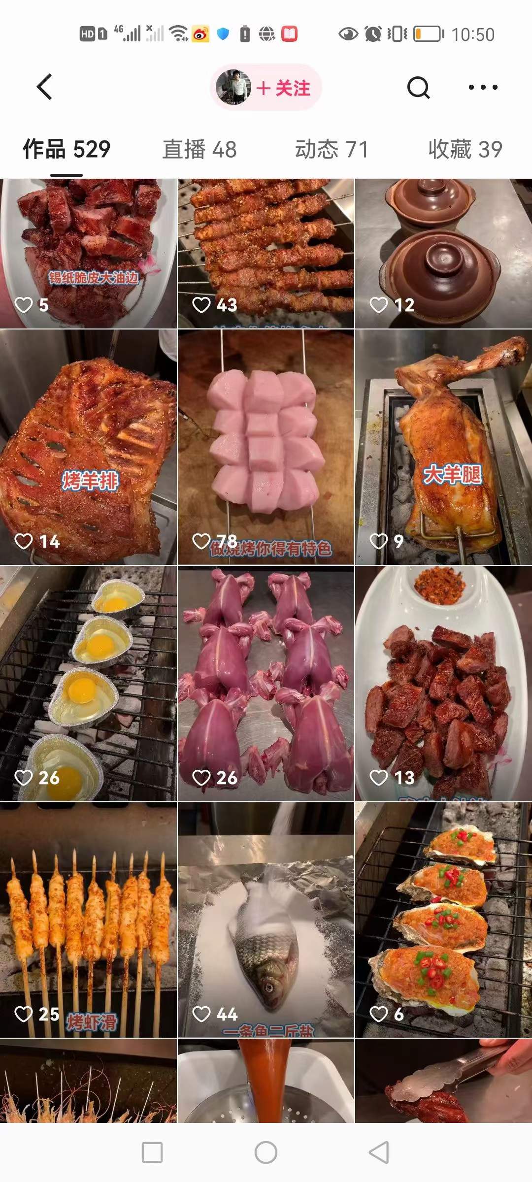 正宗东北沈阳烧烤商用配方烤串创业视频教程调料配料小吃开店技术