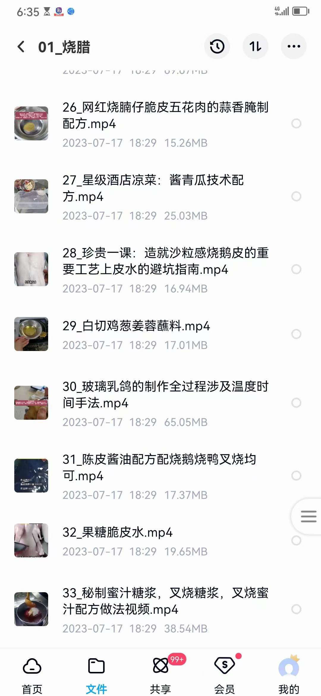 广式烧腊技术配方广东烧腊烧鸭烧鹅视频培训教程小吃技术配方