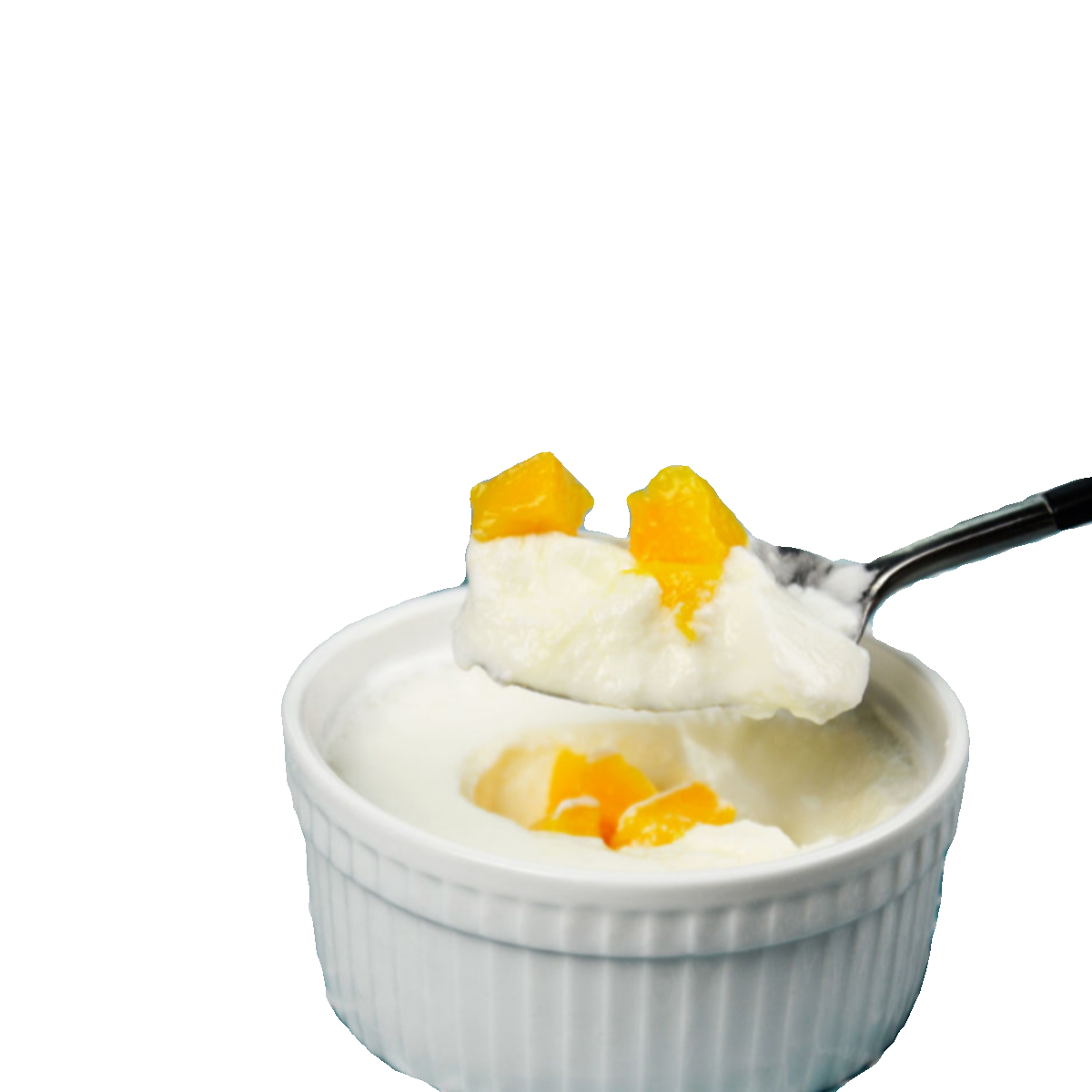 风味老酸奶配方技术资料教材小吃培训方法做法视频教程