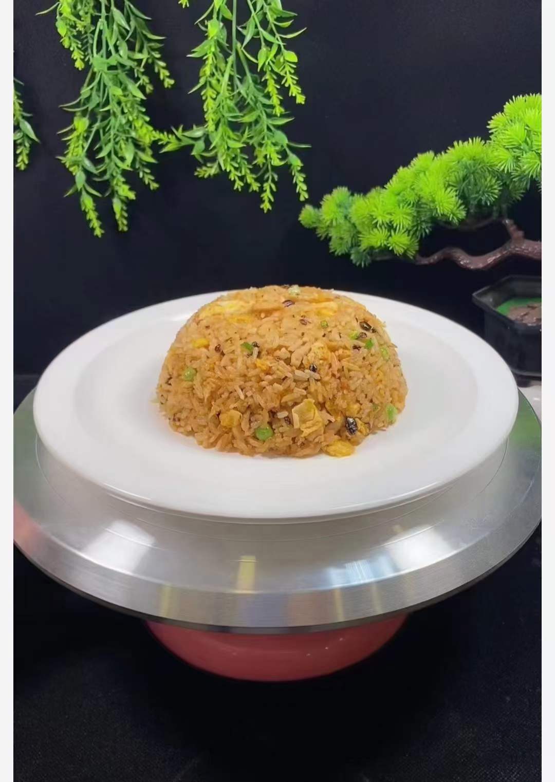 商用的摆摊小吃花式多种酱油黄金什锦炒饭做法制作方法技术教程配方视频