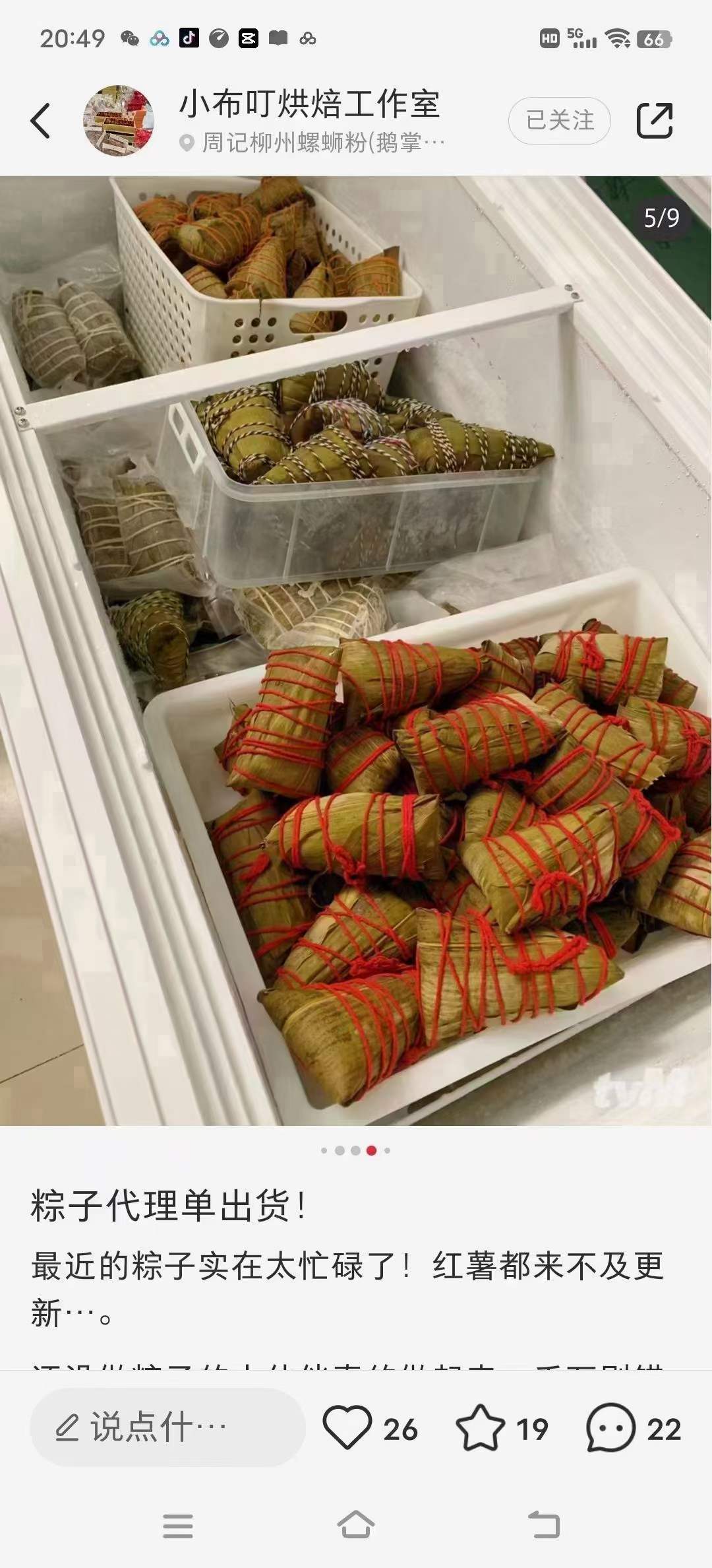 9种粽子技术教程视频资料培训肉粽素粽水晶粽咸蛋黄小吃技术配方摆摊商用材料