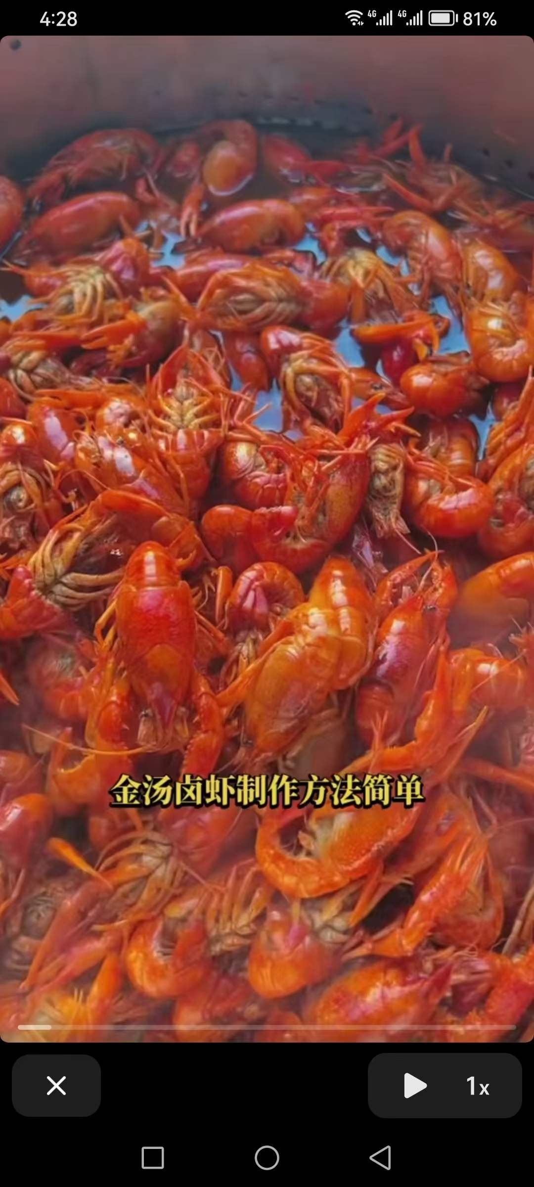 潜江嗨巴哥卤虾+油焖大虾+蒜蓉大虾+捞汁小海鲜视频课程