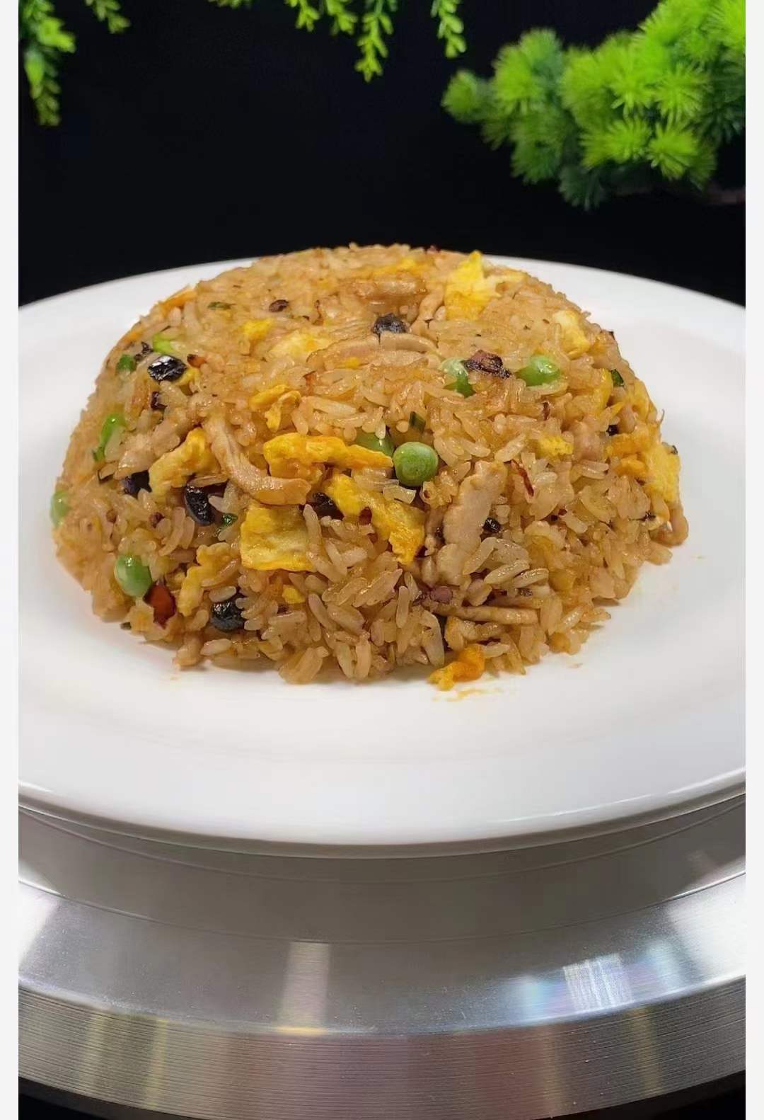 商用的摆摊小吃花式多种酱油黄金什锦炒饭做法制作方法技术教程配方视频