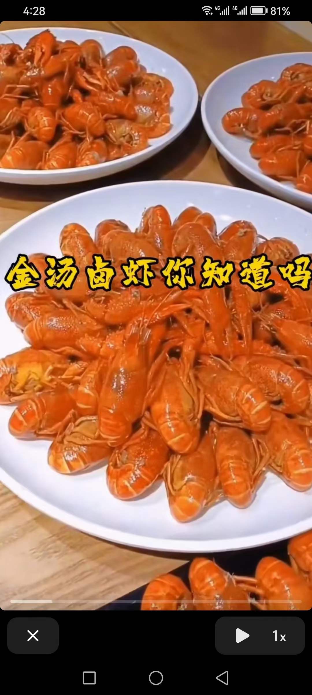 潜江嗨巴哥卤虾+油焖大虾+蒜蓉大虾+捞汁小海鲜视频课程