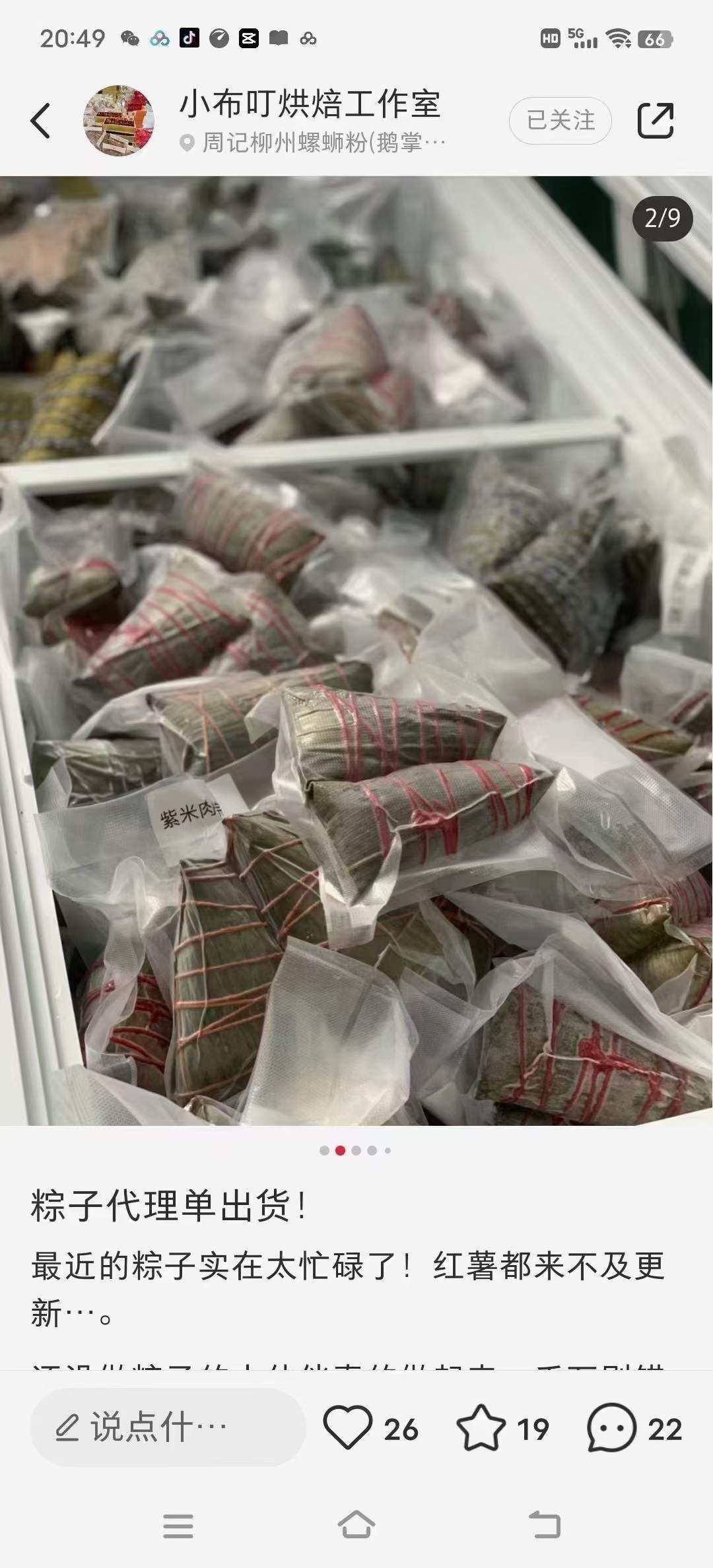 9种粽子技术教程视频资料培训肉粽素粽水晶粽咸蛋黄小吃技术配方摆摊商用材料