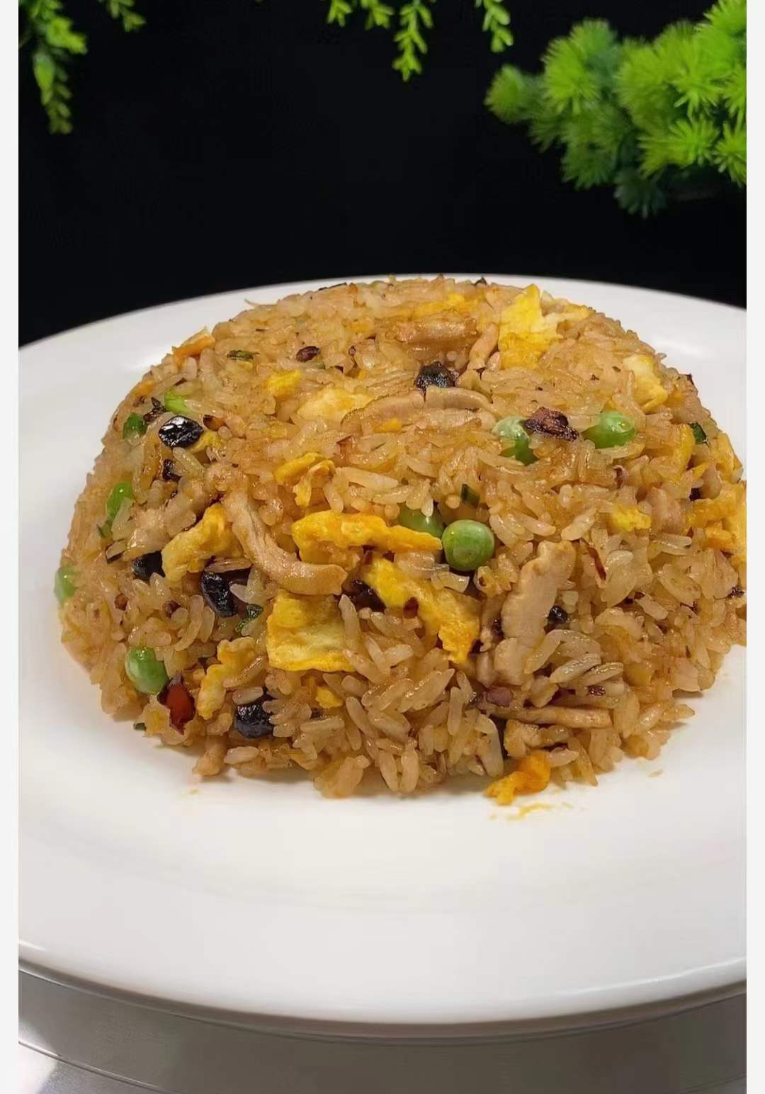 商用的摆摊小吃花式多种酱油黄金什锦炒饭做法制作方法技术教程配方视频