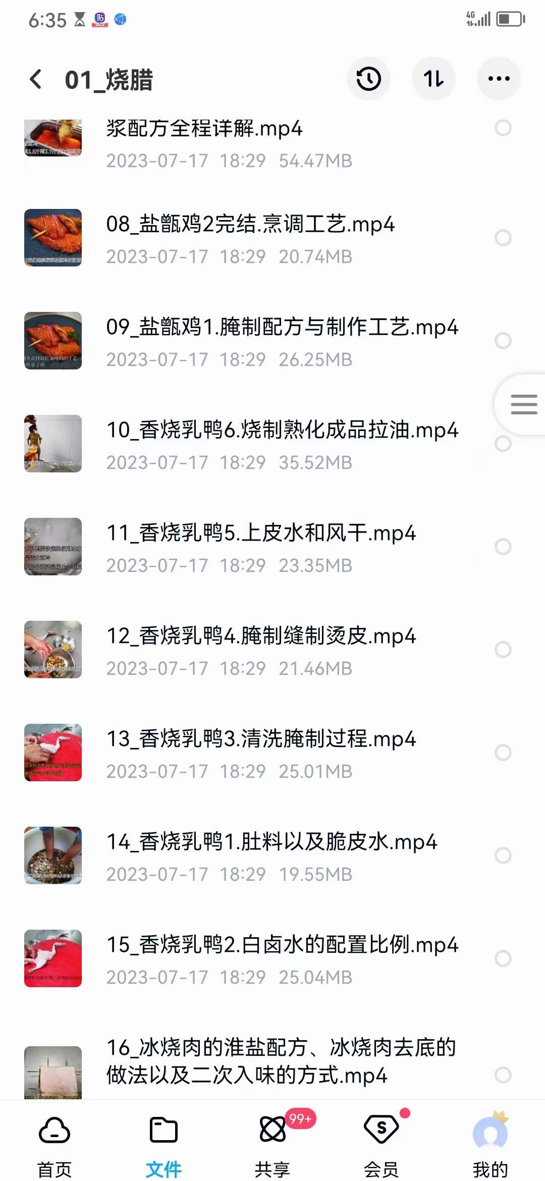 广式烧腊技术配方广东烧腊烧鸭烧鹅视频培训教程小吃技术配方