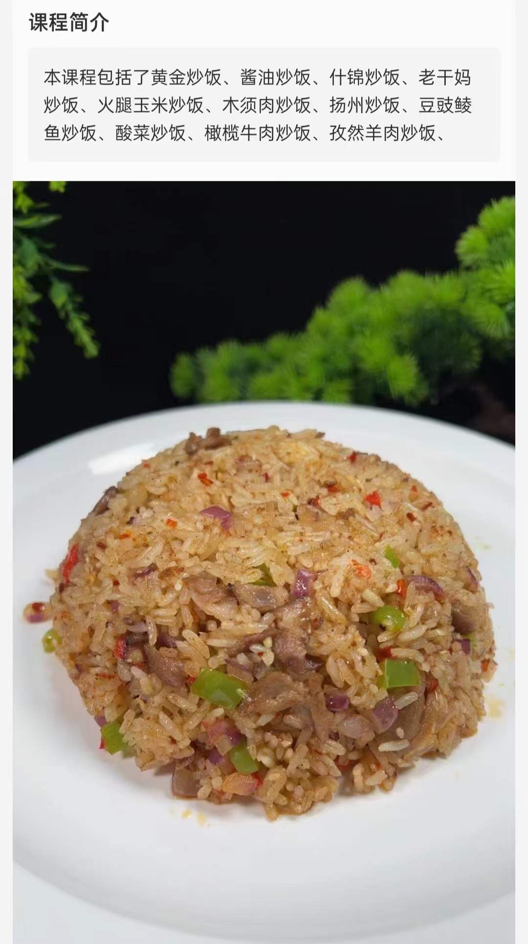 商用的摆摊小吃花式多种酱油黄金什锦炒饭做法制作方法技术教程配方视频