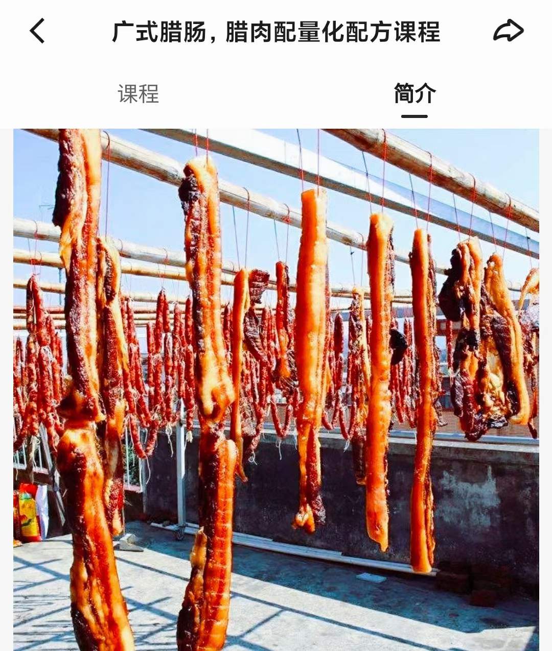 腊肉腊肠技术配方教程咸肉风干肠广式麻辣手工秘制香肠制作技术