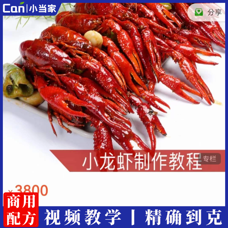 正宗十三香麻辣小龙虾配方卤水蒜泥椒盐香辣酱爆小龙虾小吃技术视频商用-餐饮小当家