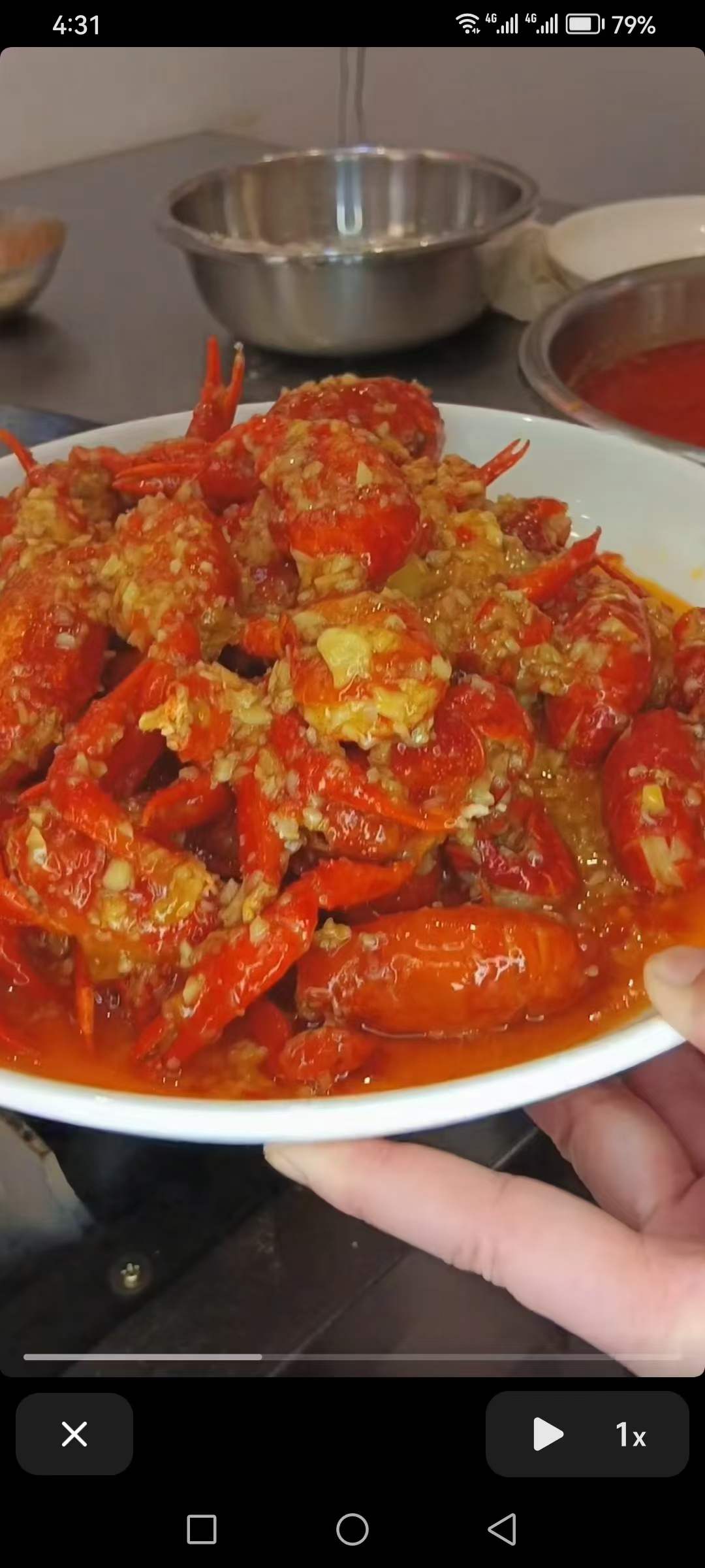 潜江嗨巴哥卤虾+油焖大虾+蒜蓉大虾+捞汁小海鲜视频课程