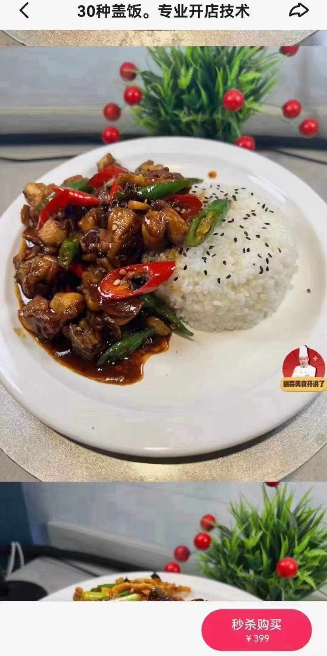 30种盖浇饭配方快餐盒饭技术配方教程炒菜外卖盖饭制作视频教学商用