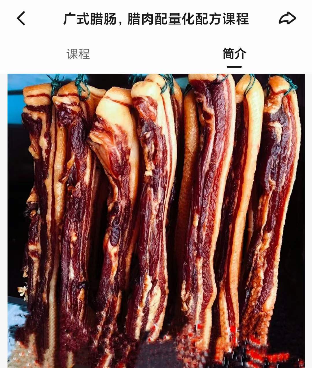 腊肉腊肠技术配方教程咸肉风干肠广式麻辣手工秘制香肠制作技术