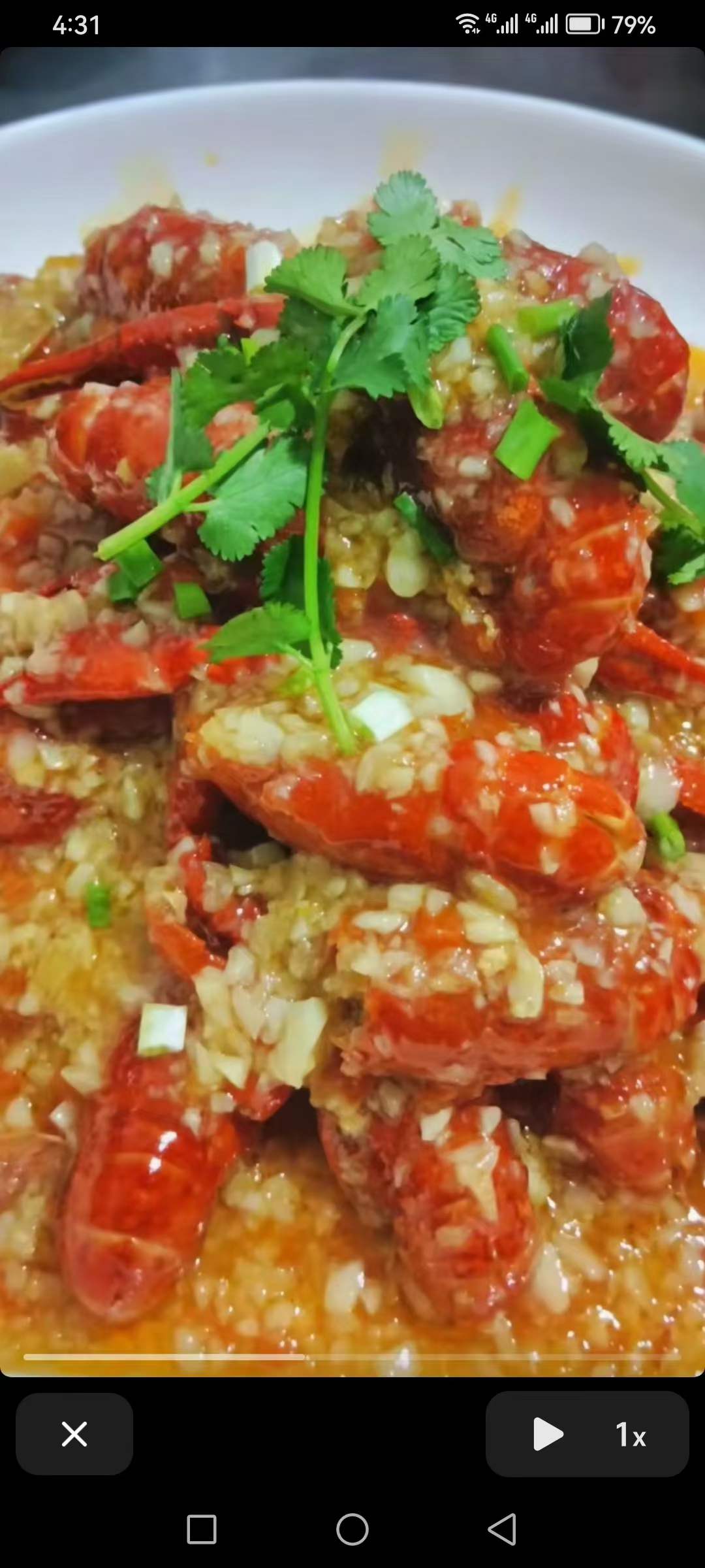 潜江嗨巴哥卤虾+油焖大虾+蒜蓉大虾+捞汁小海鲜视频课程