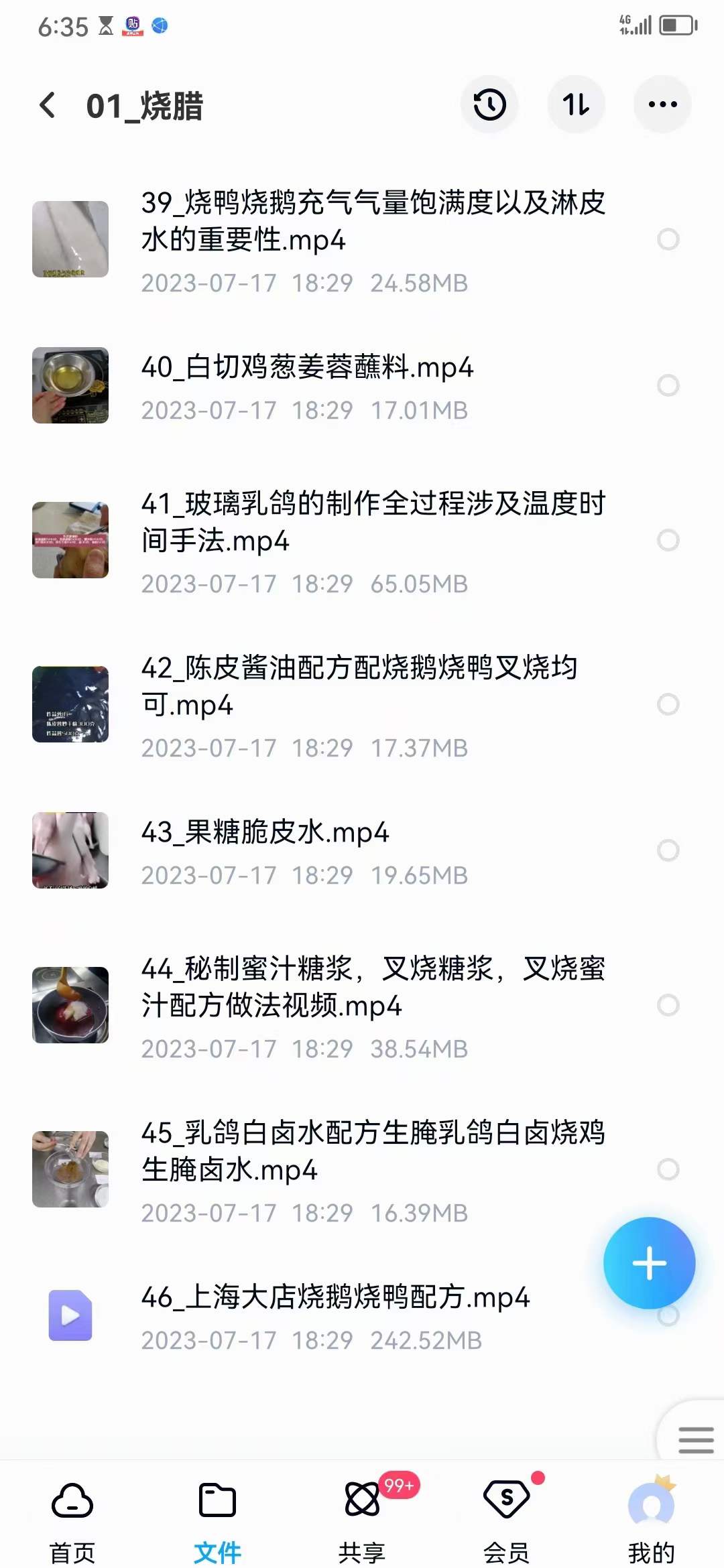 广式烧腊技术配方广东烧腊烧鸭烧鹅视频培训教程小吃技术配方